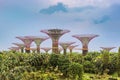 Supertrees, Supertree Grove at Gardens by the Bay in Singapore.