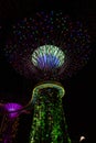 A Supertree at night under green lighting during the light show in the Supertree Grove of Garden by the Bay, Singapore