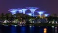 2019-08-03 Supertree in Singapore in night time. Supertree is famous spot for traveler in Singapore city. Royalty Free Stock Photo