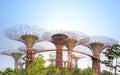 Supertrees, Gardens by the Bay