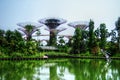 Supertrees greenhouse and dragonfly lake - Singapore - Gardens by the Bay