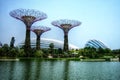 Supertrees greenhouse and dragonfly lake - Singapore - Gardens by the Bay