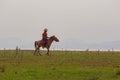 Suphanburi thailand - march6,2016 : unidentified man riding on horse back running through grass field of countryside Royalty Free Stock Photo