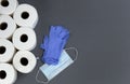 Supplies like toilet paper, mask and gloves for surviving against COVID-19 or Coronavirus on grey background Royalty Free Stock Photo