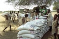 Supply food aid for Afar people, Red Cross, Ethiopia Royalty Free Stock Photo