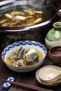 Suppon nabe, japanese cuisine Royalty Free Stock Photo