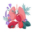 Support and care for health of internal organs, lungs and heart, kidneys with flowers Royalty Free Stock Photo