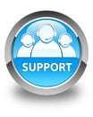 Support (customer care team icon) glossy cyan blue round button Royalty Free Stock Photo