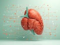 Support healthy liver concept, human liver, treatment of problems associated with liver disease Royalty Free Stock Photo