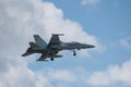 US Army Fa-18 Fighter Royalty Free Stock Photo