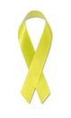 Support Our Troops ribbon