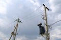 Supporting pillars of power line in rural location