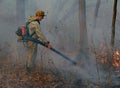 Suppression of Forest Fire 5 Royalty Free Stock Photo