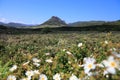 Supramonte mountains in Sardinia, Italy