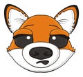 Suprise muzzle of fox