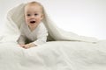 Suprised funny child under white blanket, studio shot, isolated, white background Royalty Free Stock Photo