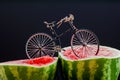 Sur. Bicycle standing on top of ripe watermelon