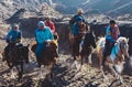 Horse is the main transportation for tourists visiting at mount Bromo