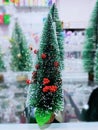 Small Christmas trees in storefronts.