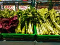 Surakarta, Indonesia - April 27, 2023 : Fresh green vegetable on shelf in grocery store for sale. Hypermart Surakarta.