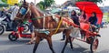 Surakarta, Indonesia, January 8, 2023 Dokar Wisata or chariot joyride in sunday car free day surakarta