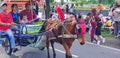 Surakarta, Indonesia, January 8, 2023 Dokar Wisata or chariot joyride in sunday car free day surakarta