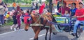 Surakarta, Indonesia, January 8, 2023 Dokar Wisata or chariot joyride in sunday car free day surakarta