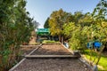 Garden vegetable patch