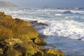 Surf along rocky coastline