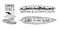 Surf badge, Vintage Surfer logo. Retro Wave and Bird and tropical leaf. Summer California. Engraved emblem hand drawn