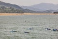 Surf for beginners in Euskadi coastline. Mundaka beach. Spain Royalty Free Stock Photo