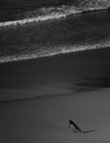 A surf board stuck in the sand, Odeceixe, Alentejo.