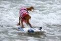 Surf Board Surfer Dog Royalty Free Stock Photo