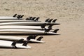 Surf Boards Royalty Free Stock Photo