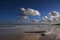 Surf boards on the beach