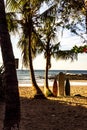 Surf Boards on the Beach