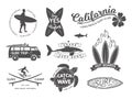 Surf boards emblem and badges vector set. Signs and elements for summer labels design