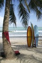 surf boards palm tree kuta beach bali indonesia