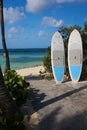 Surf Boards lined up for the next surfer` luck