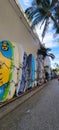 Surf boards lined up and Ready to ride