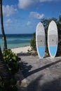 Surf Boards wait for the next rider