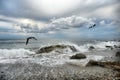 Surf in cloudy weather