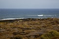 Surf coastline lanzarote in spain musk pond beach water