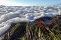 Surf foam surges over seagrass in low angle view