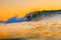 Surf girl on surfboard at warm sunset. Woman ride on barrel wave, sunset surfing.