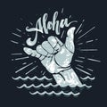 Surf hand sign Royalty Free Stock Photo