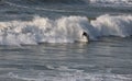 Surfer on Wembury Beach