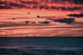 Surf line up at sunrise