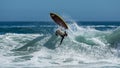 Surf Rolling Retro - the worlds longest running Retro surfboard event based in Llandudno, Cape Town, South Africa