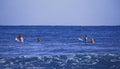 Surf school, students waiting for the first wave. Surfer on the wave. beautiful ocean wave. Water sport activity
